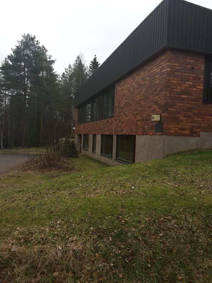 Villa Talo Rovaniemi Bagian luar foto