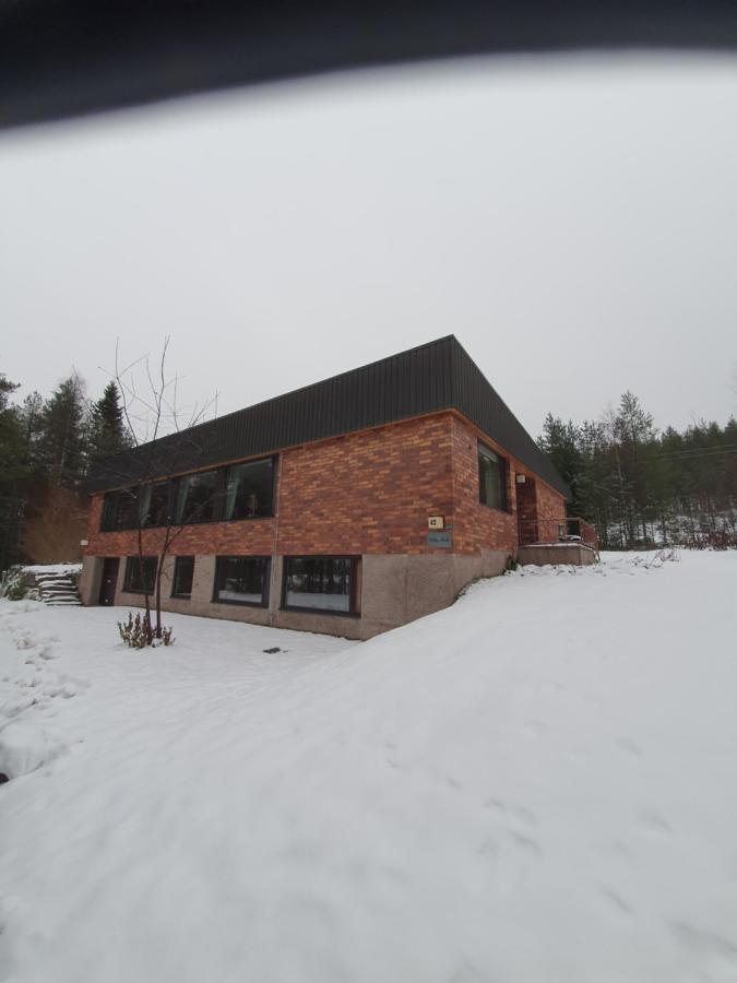 Villa Talo Rovaniemi Bagian luar foto